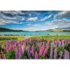 Clementoni High Quality Collection 31731 Puzzle 1500 piezas Paisaje
