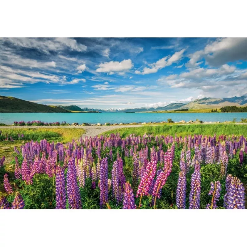 Clementoni High Quality Collection 31731 Puzzle 1500 piezas Paisaje