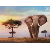 Clementoni African Sunset Puzzle 500 piezas Animales