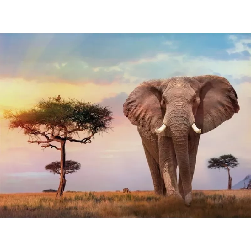Clementoni African Sunset Puzzle 500 piezas Animales