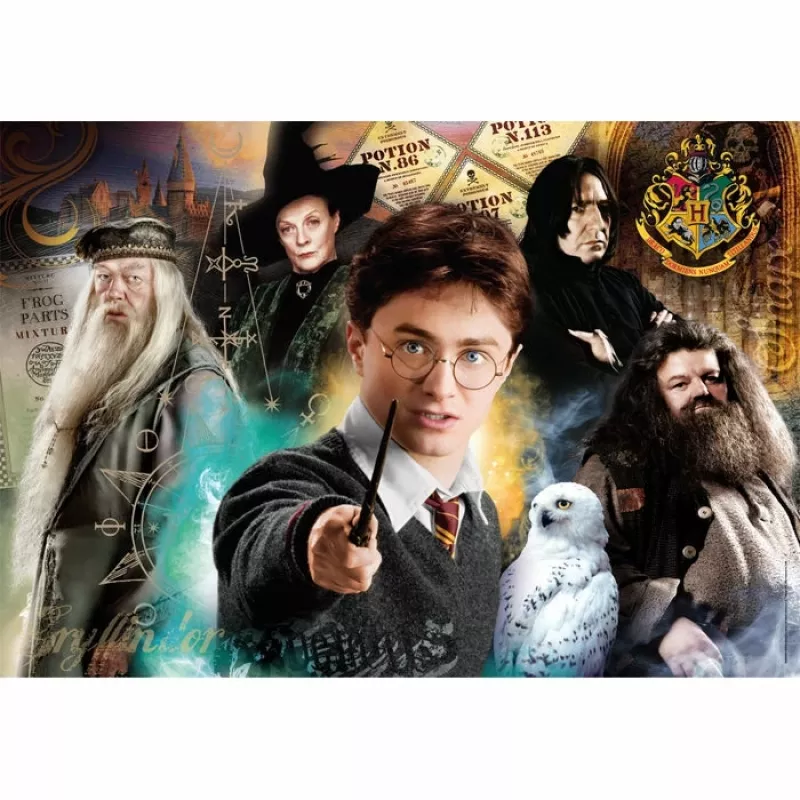 Clementoni Wizarding World Harry Potter Puzzle 500 piezas Series de televisión/Películas