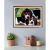 Clementoni High Quality Collection Close Together Puzzle 500 uds. Animales