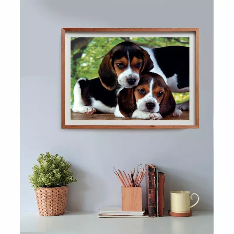 Clementoni High Quality Collection Close Together Puzzle 500 uds. Animales