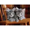 Clementoni High Quality Collection 35580 Puzzle 500 piezas Animales