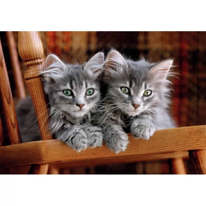 Clementoni High Quality Collection 35580 Puzzle 500 piezas Animales