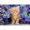 Clementoni High Quality Collection 35585 Puzzle 500 piezas Animales
