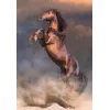 Clementoni 500 piezas CB HQC Wild Red Stallion