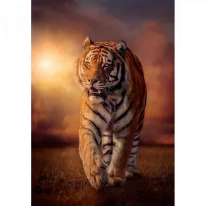 Clementoni Tiger Puzzle 1000 piezas Animales