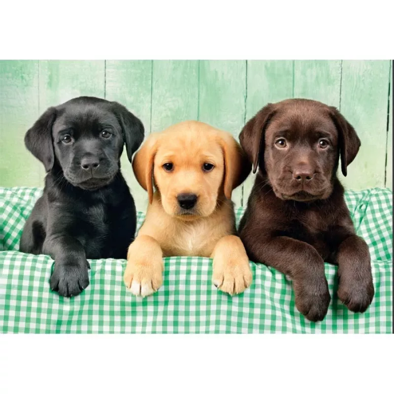 Clementoni High Quality Collection 39946 Puzzle 1000 uds. Animales