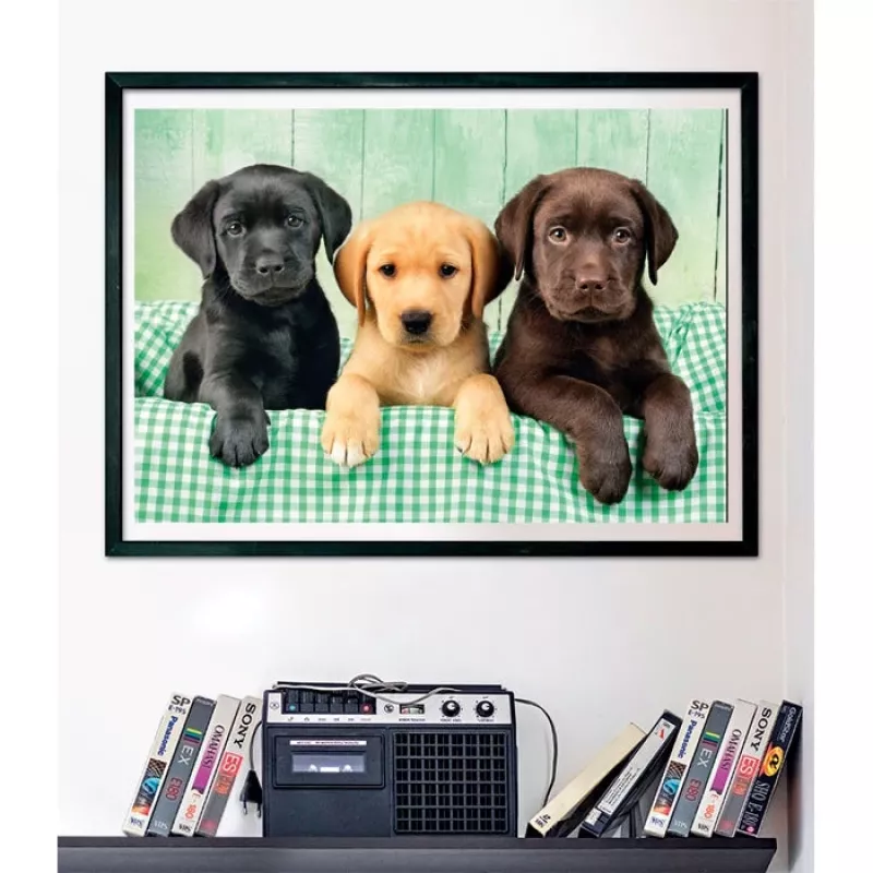 Clementoni High Quality Collection 39946 Puzzle 1000 uds. Animales