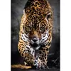 Clementoni High Quality Collection 39947 Puzzle 1000 piezas Animales