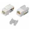 Techly IWP-KIT-C6U90 Módulo keystone