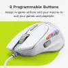 Glorious Gaming Glorious Model I2 Wired – Blanco, Diestro, Óptico, USB Type-A, 26000 DPI, Blanco