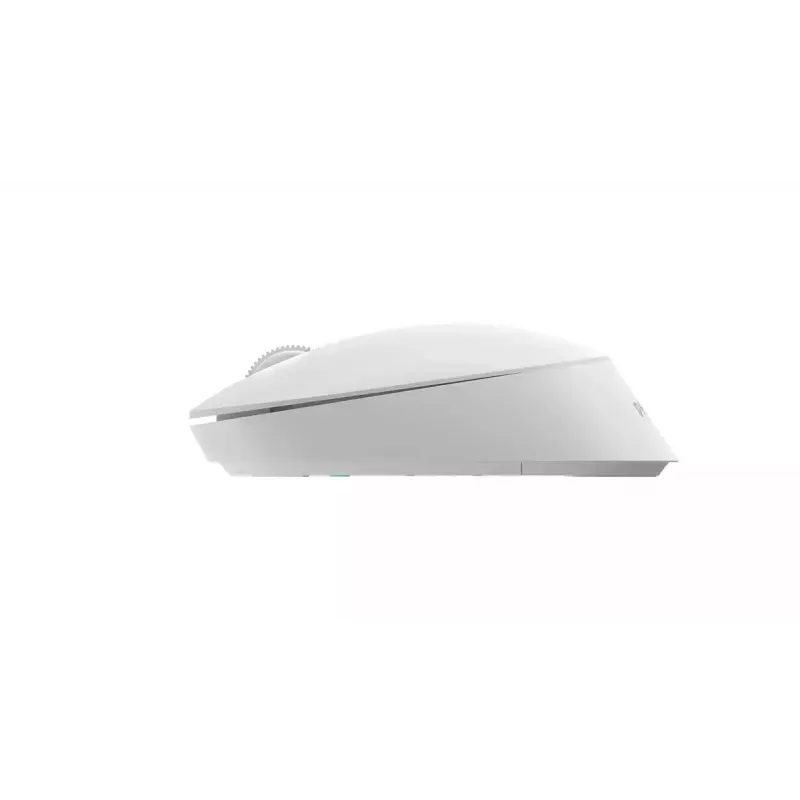 Ratón de oficina Philips SPK7307W/00 ambidiestro RF inalámbrico óptico 1600 DPI blanco