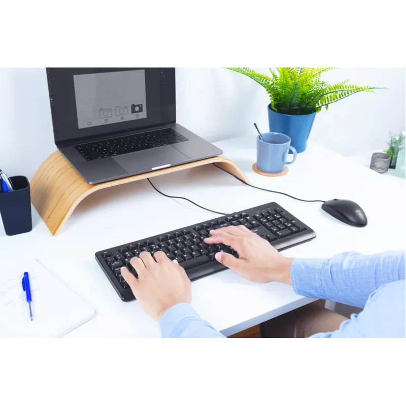 Teclado Trust Primo universal USB AZERTY belga negro