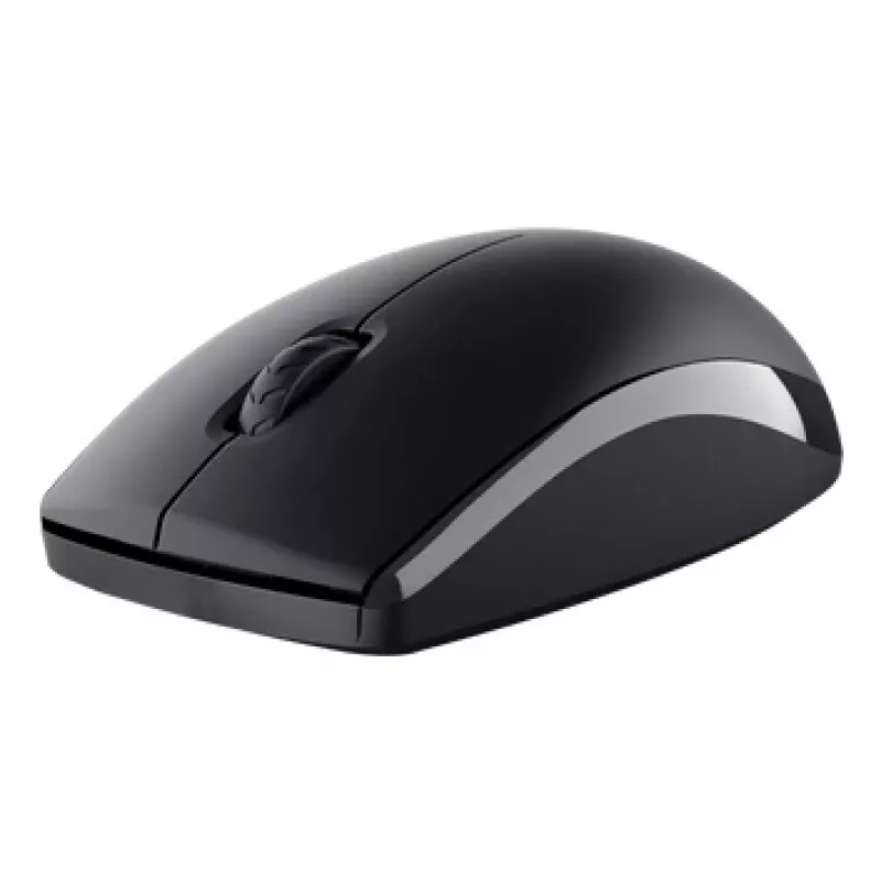 Conjunto de teclado y ratón inalámbrico TRUST Primo – Teclado de membrana QWERTY de tamaño completo, RF Wireless, Negro, ratón incluido