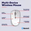 Trust Yvi+ Ratón Universal Ambidiestro RF Wireless + Bluetooth Óptico 1600 DPI