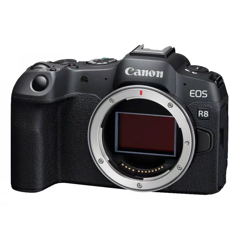 Canon EOS R8 + RF 24-105mm F4-7.1 IS STM MILC 24,2 MP CMOS 6000 x 4000 píxeles negro