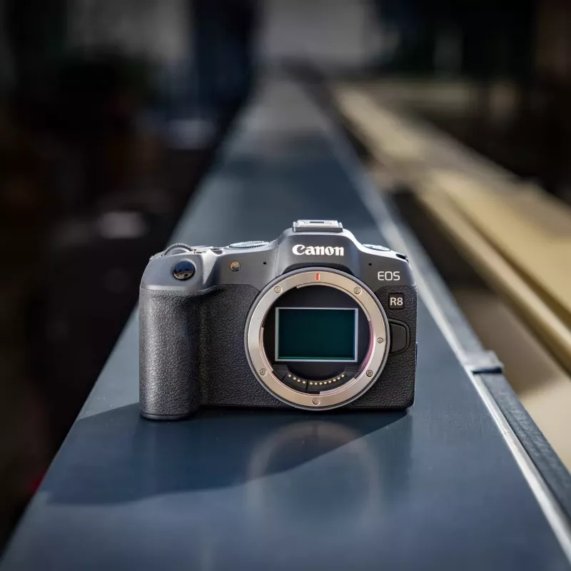Canon EOS R8 + RF 24-105mm F4-7.1 IS STM MILC 24,2 MP CMOS 6000 x 4000 píxeles negro