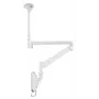 Soporte de techo Neomounts FPMA-HAC100HC capacidad máxima 12 kg tamaño de pantalla 10 a 32 pulgadas