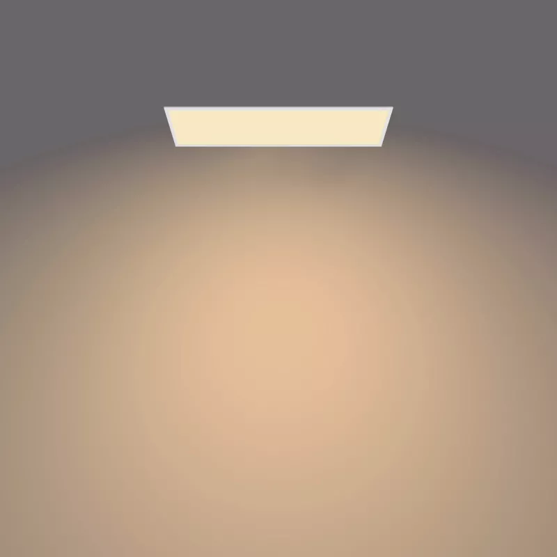 Plafón Philips Functional Panel Ceiling 36 W rectangular