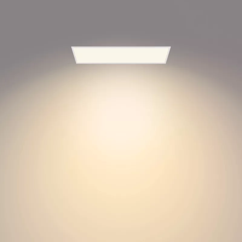 Plafón Philips Functional Panel Ceiling 36 W rectangular
