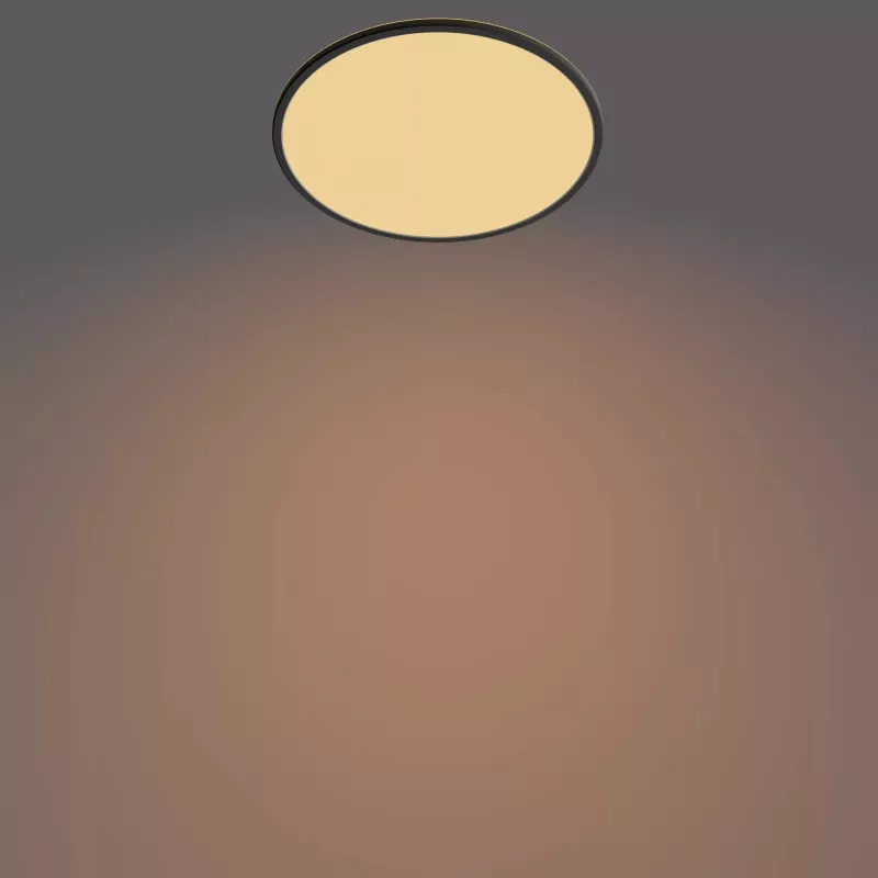 Plafón Philips Functional Super Slim 22 W negro LED redondo