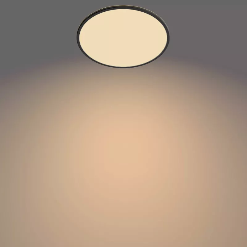 Plafón Philips Functional Super Slim 22 W negro LED redondo