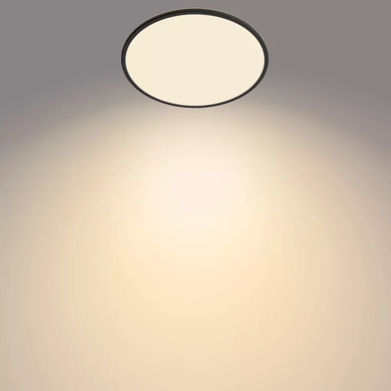Plafón Philips Functional Super Slim 22 W negro LED redondo