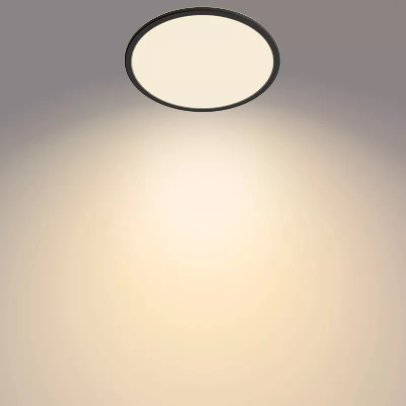 Plafón Philips Functional 18W 2700K 1500 lm LED de superficie regulable negro