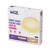 Plafón inteligente Wiz Adria Ceiling 17 W — Wi‑Fi/Bluetooth, 320×68 mm, blanco