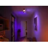 Philips Hue White and colour ambience Centris lámpara de techo 2 focos