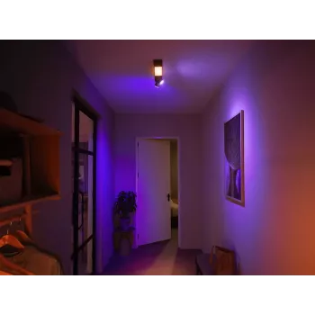 Philips Hue White and colour ambience Centris lámpara de techo 2 focos