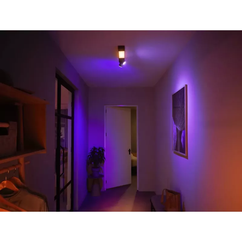 Philips Hue White and colour ambience Centris lámpara de techo 2 focos