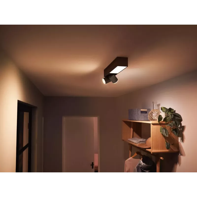 Philips Hue White and colour ambience Centris lámpara de techo 2 focos