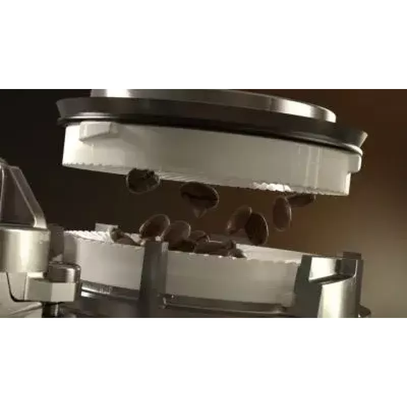 Saeco Xelsis Deluxe SM8785 Cafetera automática de espresso