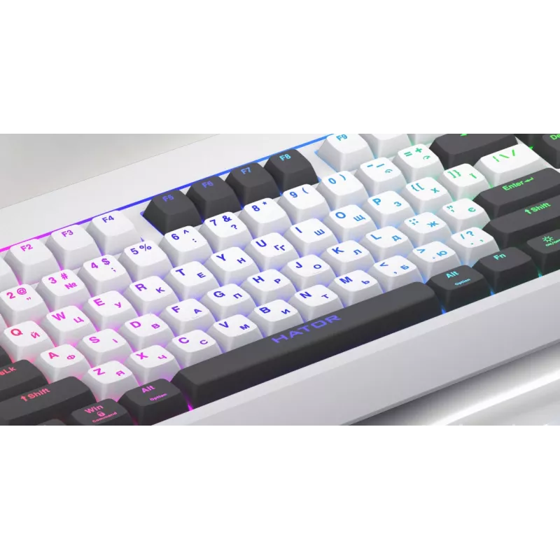 HATOR Icefall Teclado gaming USB QWERTY US English negro RGB LED