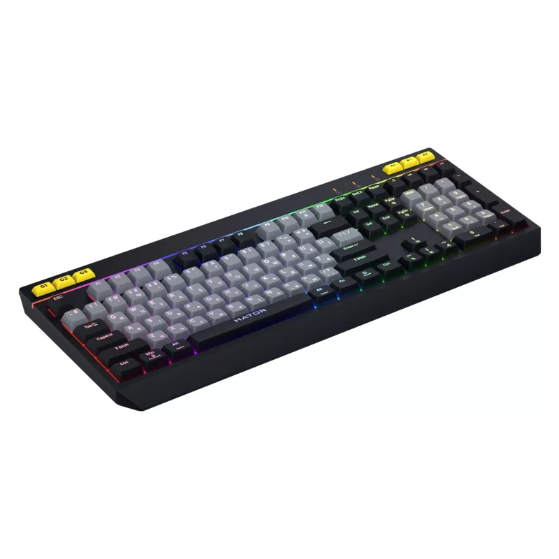 HATOR Icefall Teclado gaming USB QWERTY US English negro RGB LED
