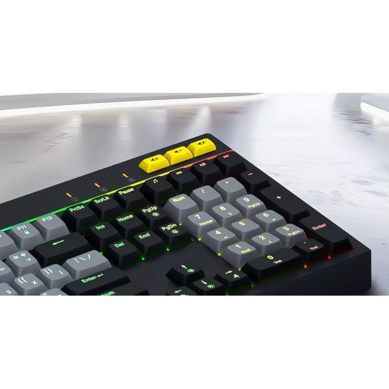 HATOR Icefall Teclado gaming USB QWERTY US English negro RGB LED