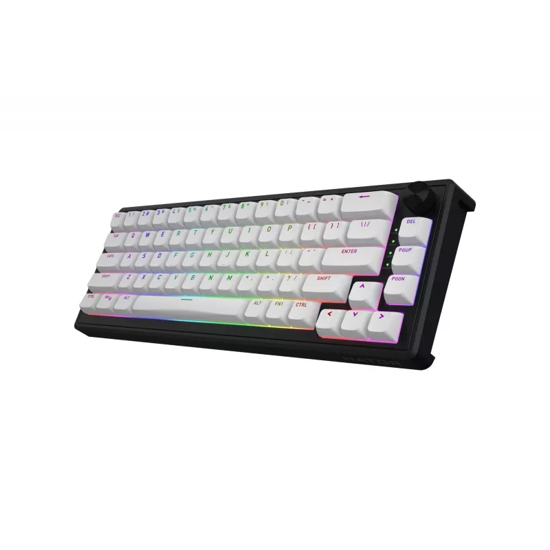 HATOR Skyfall 65 MAG ULTRA 8K Teclado Gaming USB QWERTY US-English Negro, Blanco