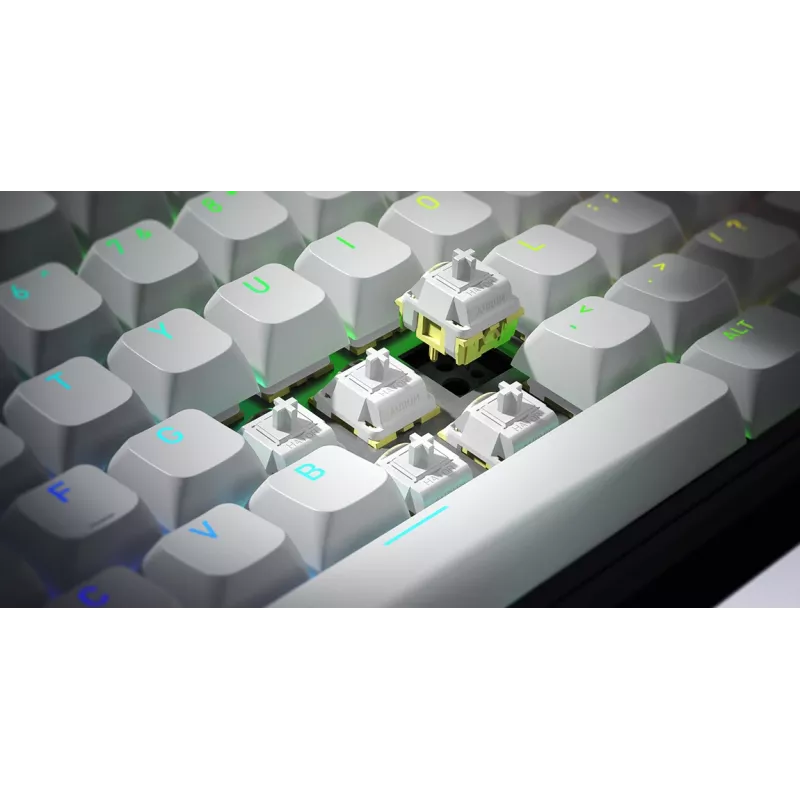HATOR Skyfall Wireless 100 Teclado Gaming USB + RF Wireless + Bluetooth QWERTY US English Negro, Blanco