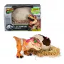Jurassic World Primal Hatch dinosaurio de juguete interactivo y huevo, eclosiona y entrena a tu propio bebé dino con más de 100 sonidos y reacciones, juguete para niños y niñas a partir de 5 años