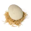 Jurassic World Primal Hatch dinosaurio de juguete interactivo y huevo, eclosiona y entrena a tu propio bebé dino con más de 100 sonidos y reacciones, juguete para niños y niñas a partir de 5 años