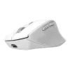 Ratón de oficina inalámbrico para diestros TRUST Niven – RF + Bluetooth, 3200 DPI, 7 botones, rueda de desplazamiento, Blanco