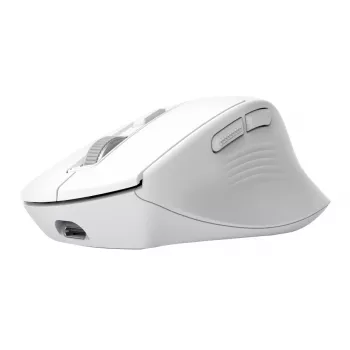 Ratón de oficina inalámbrico para diestros TRUST Niven – RF + Bluetooth, 3200 DPI, 7 botones, rueda de desplazamiento, Blanco