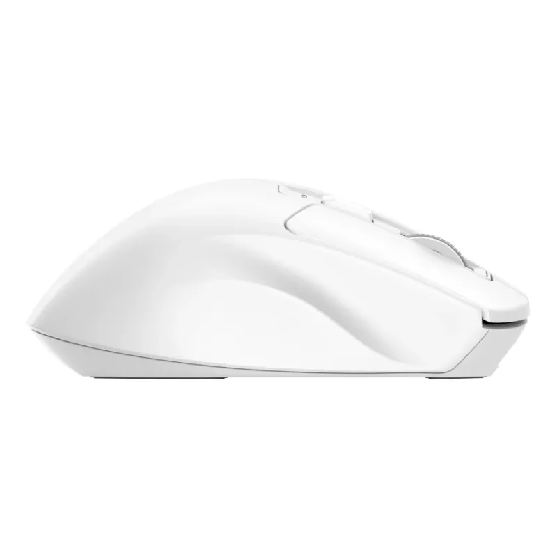 Ratón de oficina inalámbrico para diestros TRUST Niven – RF + Bluetooth, 3200 DPI, 7 botones, rueda de desplazamiento, Blanco