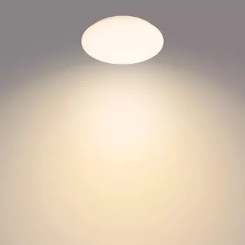 Lámpara de techo Philips Functional Moire 10 W, LED, bombilla integrada, 2700 K, 1000 lm, IP20, blanco