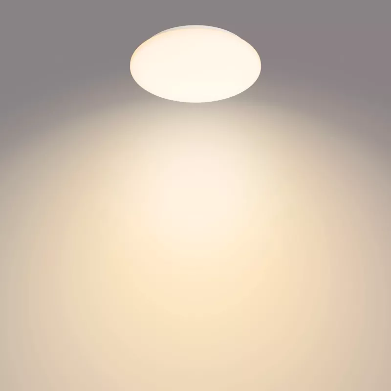 Lámpara de techo Philips Functional Moire 10 W, LED, bombilla integrada, 2700 K, 1000 lm, IP20, blanco
