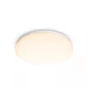 Lámpara de techo Philips Functional, LED, bombilla no reemplazable, 2700 K, 1700 lm, IP20, blanco