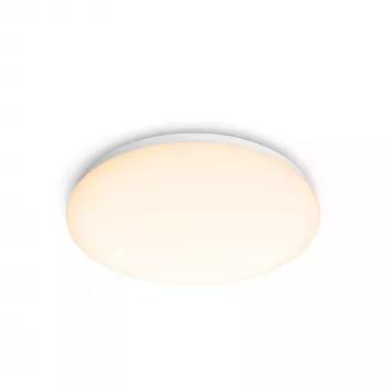 Lámpara de techo Philips Functional, LED, bombilla no reemplazable, 2700 K, 1700 lm, IP20, blanco
